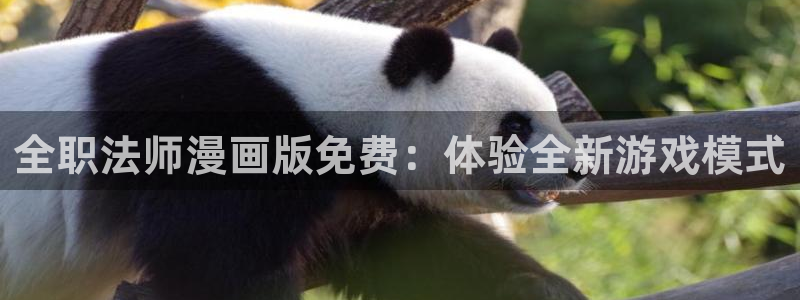 五星网站女神漫画韩漫：全职法师漫画版免费：体验全新游戏模式