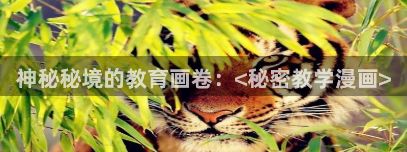 羞羞漫画韩漫首页：神秘秘境的教育画卷：<秘密教学漫画>