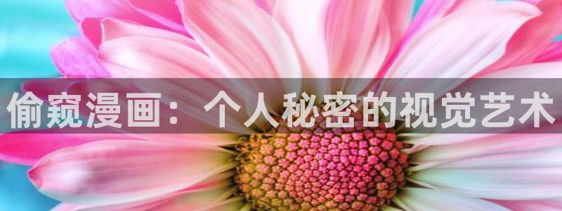 韩漫漫画网在线免费阅读：偷窥漫画：个人秘密的视觉艺术