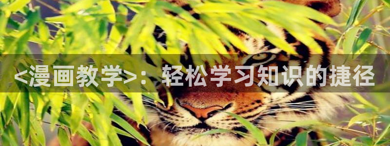 从哪里可以看韩漫：<漫画教学>：轻松学习知识的捷径