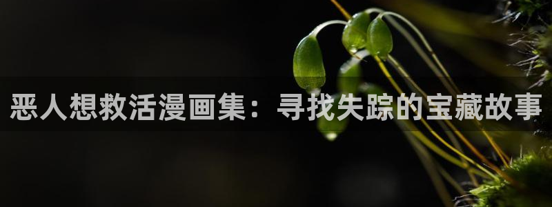 超通漫画韩漫：恶人想救活漫画集：寻找失踪的宝藏故事