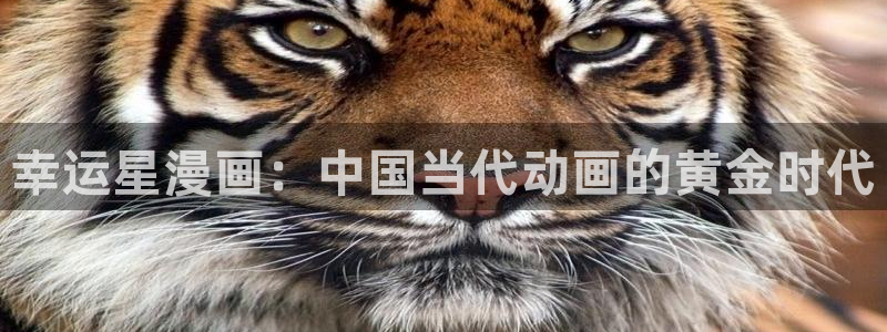 韩漫免费下拉式漫画免费：幸运星漫画：中国当代动画的黄金时代