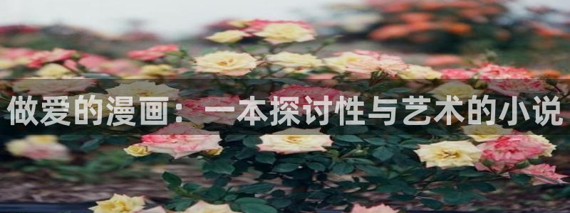 漫画韩漫免费观看完整：做爱的漫画：一本探讨性与艺术的小说