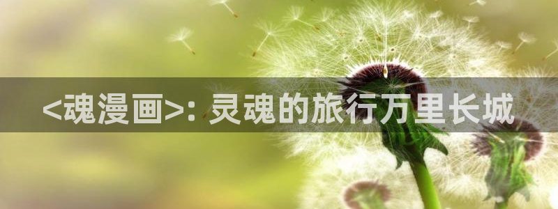 韩漫网址网站：<魂漫画>: 灵魂的旅行万里长城