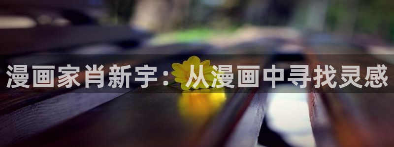 韩漫漫画免费阅读看漫画下拉下载：漫画家肖新宇：从漫画中寻找灵感