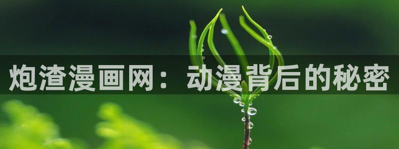 看韩漫生肉的网站