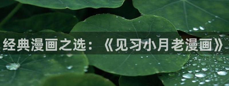 韩漫黄片