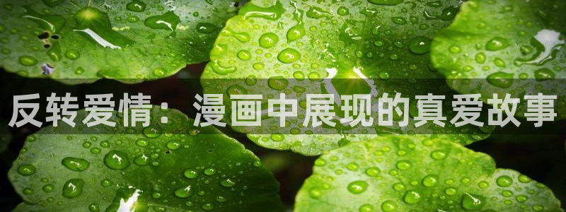 韩漫app漫画免费：反转爱情：漫画中展现的真爱故事